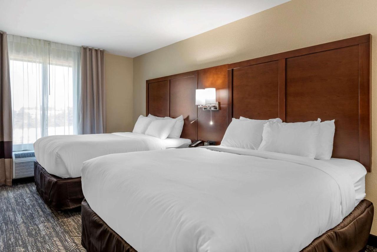 Comfort Suites Dry Ridge Bagian luar foto